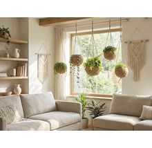 Woonkamer met banken en hangplanten in kokosnootschalen.