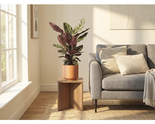 Woonkamer met plant in keramische pot op een houten kruk naast een bank