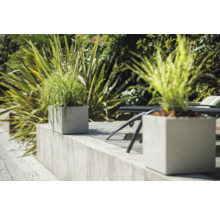 Decoratieve plantenbakken met beplanting in de tuin.