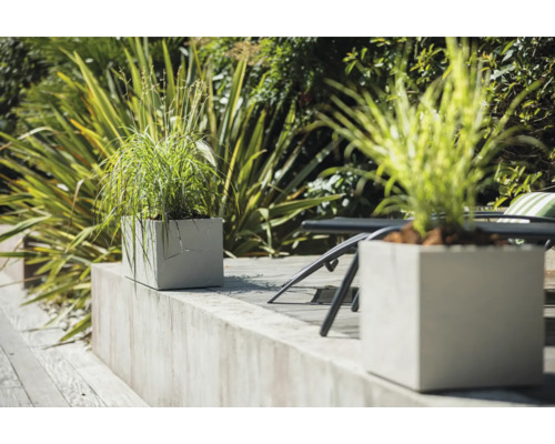 Decoratieve plantenbakken met beplanting in de tuin.