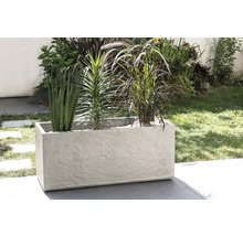 Rechthoekige plantenbak met verschillende planten buitenshuis.