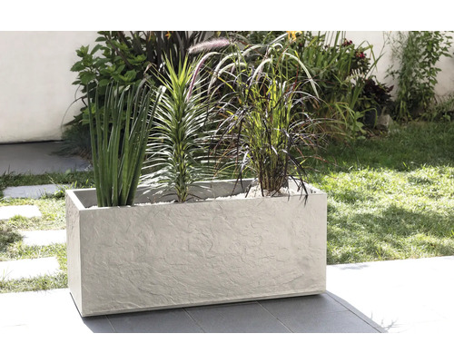 Rechthoekige plantenbak met verschillende planten buitenshuis.