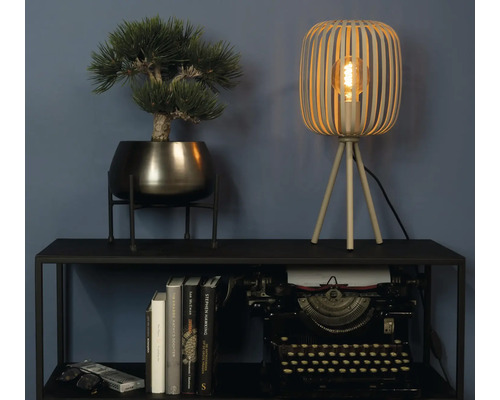 Decoratieve scène met tafellamp, kunstplant, stapel boeken en typemachine op een zwarte plank