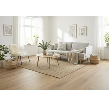 Woonkamer met bank, tapijt, tafel, stoel en decoraties in een lichte en vriendelijke sfeer