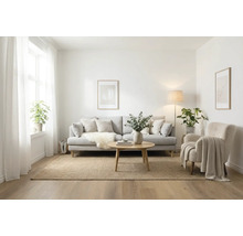 Woonkamer met bank, fauteuil, vloerkleed en tafel in licht design.