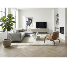 Woonkamer met hoekbank, fauteuil, televisie en kamerplant