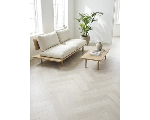 Lichte kamer met bank, tafel en kamerplant