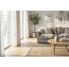 Woonkamer met bank, tafel, vloerkleed, kamerplant en decoratie