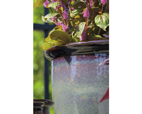 Close-up van een plant in een keramische bloempot.