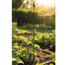 Komkommerplant met klimhulp in de moestuin
