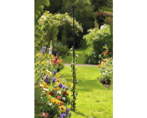 Decoratieve klimhulp in de tuin met bloeiende planten