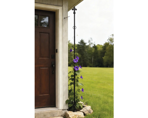 Decoratieve klimhulp met bloeiende klimplanten voor een huis ingang