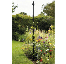 Metalen klimhulp met planten in de tuinborder