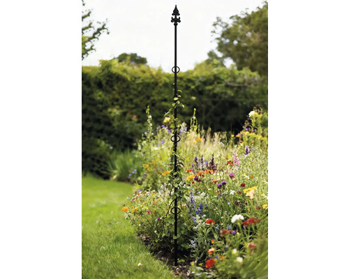 Metalen klimhulp met planten in de tuinborder