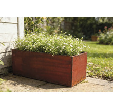 Rechthoekige metalen plantenbak met witbloeiende planten in de tuin.