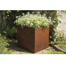 Stalen plantenbak met witte bloemen