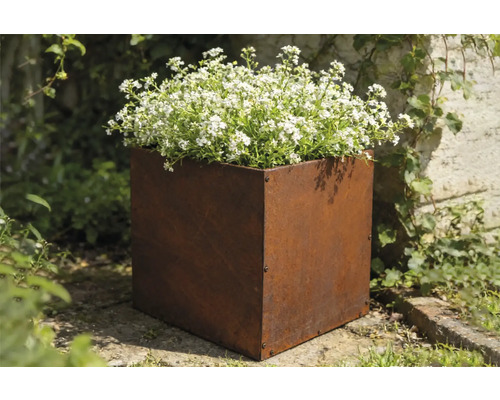 Stalen plantenbak met witte bloemen