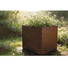 Vierkante metalen plantenbak met bloemen