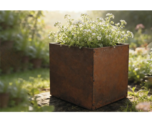 Vierkante metalen plantenbak met bloemen