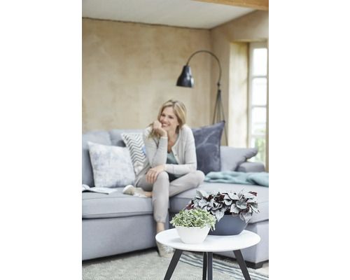 Woonkamer met grijze bank, kamerplanten op een ronde tafel en een vrouw