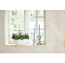 Vensterbankdecoratie met potplant en kandelaars met kaarsen