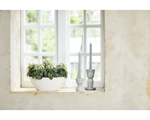 Vensterbankdecoratie met potplant en kandelaars met kaarsen