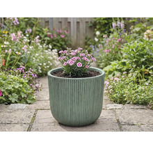 Bloempot met anjers op een tuinpad