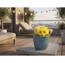 Terras met tuinmeubelen, lichtsnoer en gele primula's in een pot