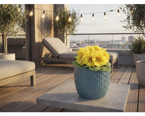 Terras met tuinmeubelen, lichtsnoer en gele primula's in een pot