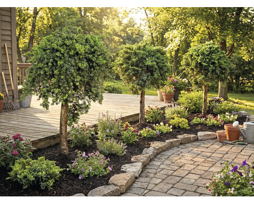 Aangelegde tuin met sierbomen, bloemen en stenen