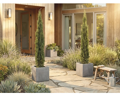 Decoratieve entree met twee slanke cipressen in vierkante plantenbakken