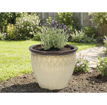 Keramische plantenpot met lavendel in de tuin