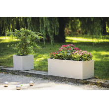 Twee beplante, kubusvormige plantenbakken in de tuin