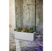 Rechthoekige plantenbak met roze bloemen voor een houten deur