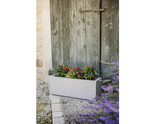Rechthoekige plantenbak met roze bloemen voor een houten deur