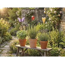 Drie kruidenpotten met plantenstekers in de vorm van een vlinder, tulp en hart op een houten bank in de tuin.