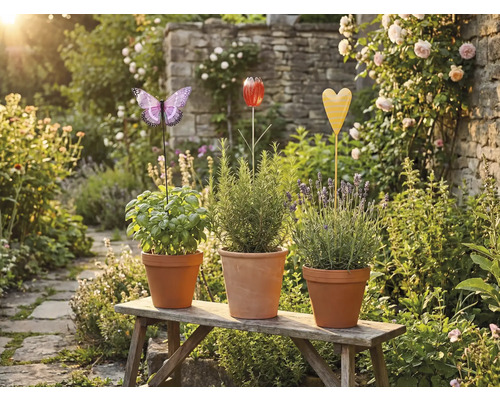 Drie kruidenpotten met plantenstekers in de vorm van een vlinder, tulp en hart op een houten bank in de tuin.