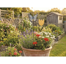 Tuinoverzicht met bloembed, decoraties en tuinhuisje