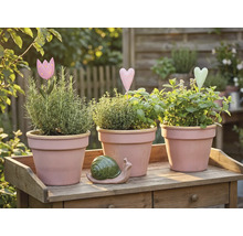 Drie kruidenpotten met kruiden en decoratie op een houten tafel