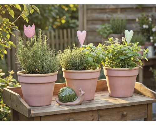 Drie kruidenpotten met kruiden en decoratie op een houten tafel