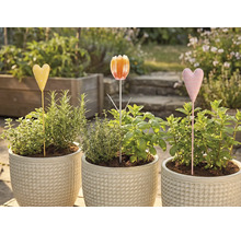 Drie bloempotten met kruiden en plantenstekers in de tuin