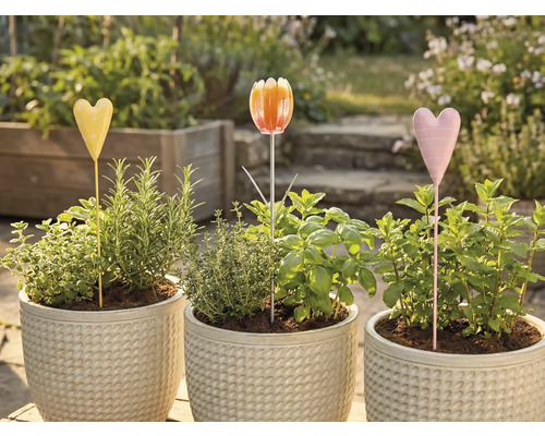 Drie bloempotten met kruiden en plantenstekers in de tuin
