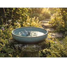 Vogelbad met vogelbeeldje en mus in de tuin