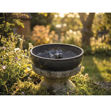 Keramische vogeldrinkbak met vogelmotieven in de tuin