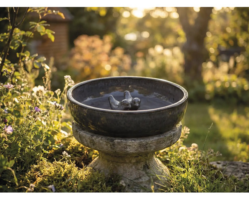 Keramische vogeldrinkbak met vogelmotieven in de tuin