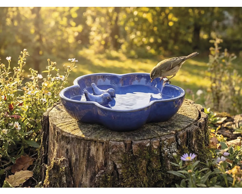Keramische vogeldrinkbak met vogelmotief op boomstronk in de tuin