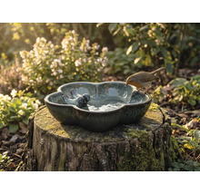 Decoratieve vogeldrinkbak op een boomstronk met roodborstje