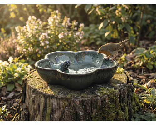 Decoratieve vogeldrinkbak op een boomstronk met roodborstje