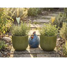 Tuin stilleven met beplante potten, hartstekers en decoratieve kip op een stenen pad