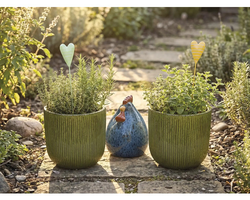 Tuin stilleven met beplante potten, hartstekers en decoratieve kip op een stenen pad